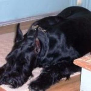 Meet your Posher, Lori